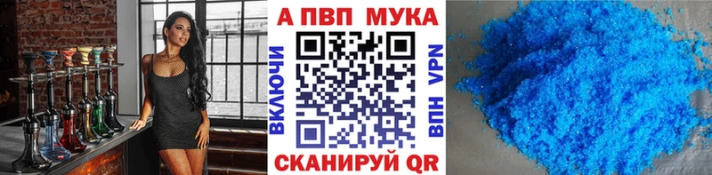 A-PVP СК Новокузнецк