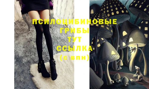 соль ск Нефтекумск
