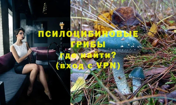 ГАЛЛЮЦИНОГЕННЫЕ ГРИБЫ Нефтегорск