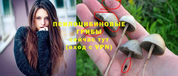 соль ск Нефтекумск