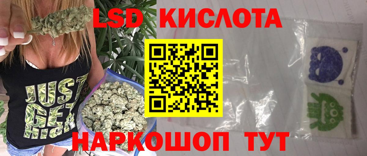 Псилоцибиновые грибы Новокузнецк