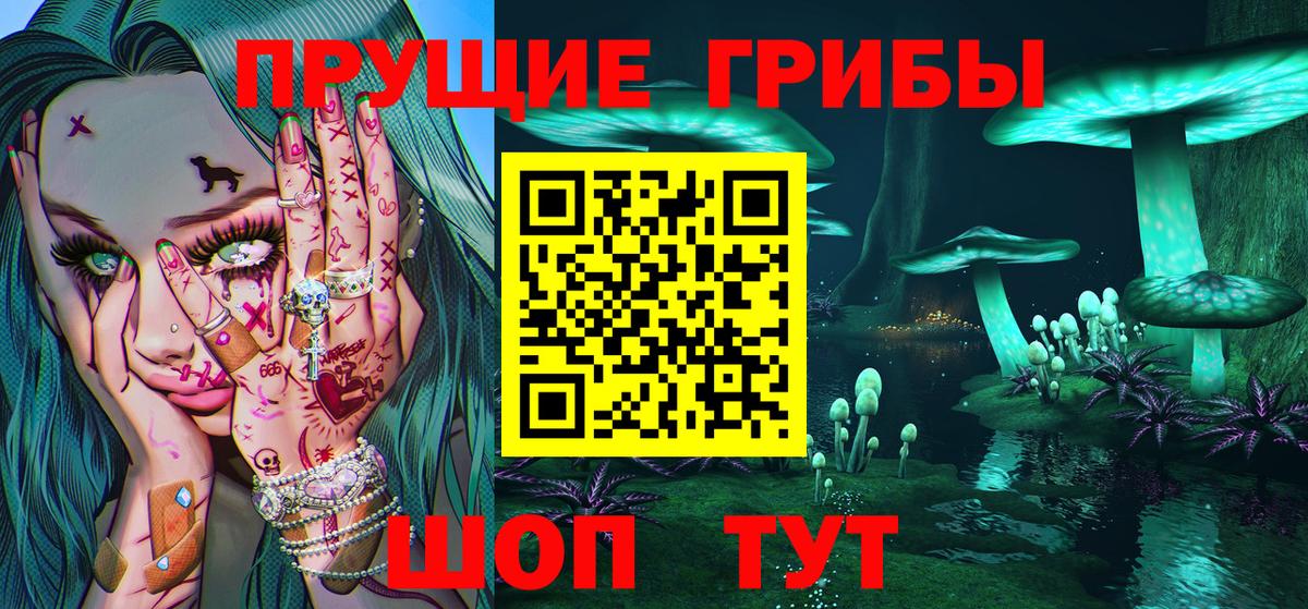 Псилоцибиновые грибы Psilocybe Новокузнецк