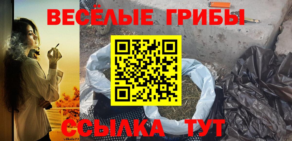 купить наркоту  Вход с VPN  Новокузнецк  Галлюциногенные грибы MAGIC MUSHROOMS 
